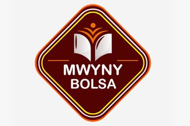 Bolsa MWYNY — identidade visual demonstrativa